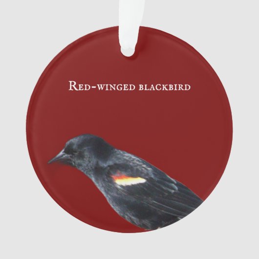 Ornement de Blackbird à ailes rouges (devant)