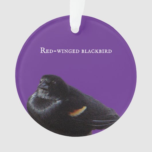 Ornement de Blackbird à ailes rouges (devant)