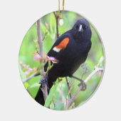 Ornement de Blackbird à ailes rouges (Gauche)