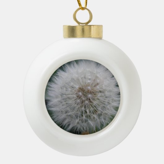Ornement de boule de fleur de Dandelion (Devant)