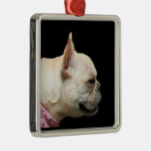 Ornement de bouledogue français (Droite)