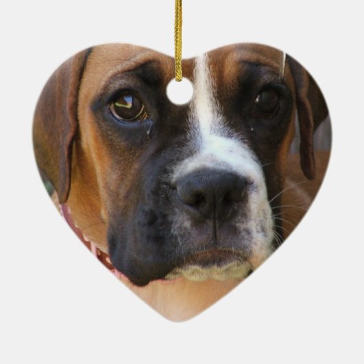 Ornement de boxeur (Dos)