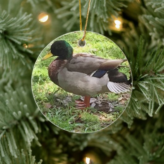 Ornement de canard de Mallard (Arbre)