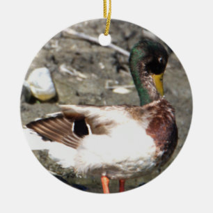 Ornement de canard de Mallard