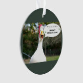 Ornement de canard de Noël (devant)