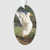 Ornement de canard de Pekin (devant)