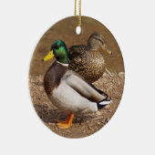 Ornement de canards de Mallard (Droite)