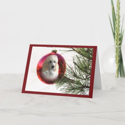 Ornement de carte de Noël de caniche (Devant)