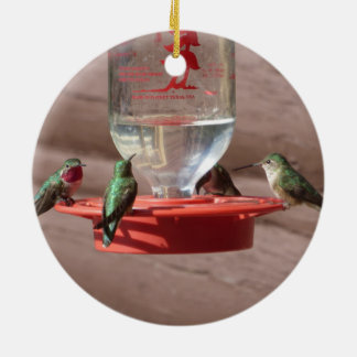 Ornement de cercle de colibris