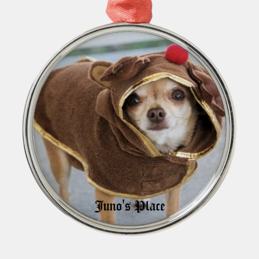 Ornement de cerfs communs de Juno (Devant)