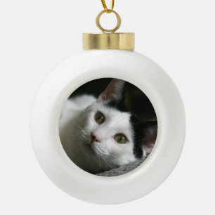 Ornement de chat