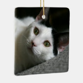 Ornement de chat (Droite)