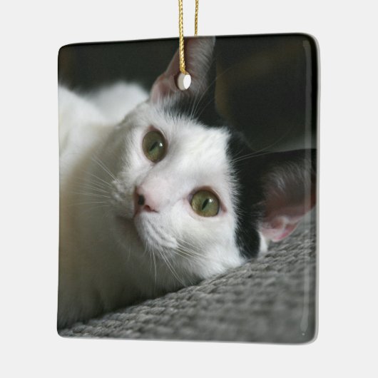 Ornement de chat (Gauche)