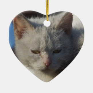 Ornement de chat d'amour
