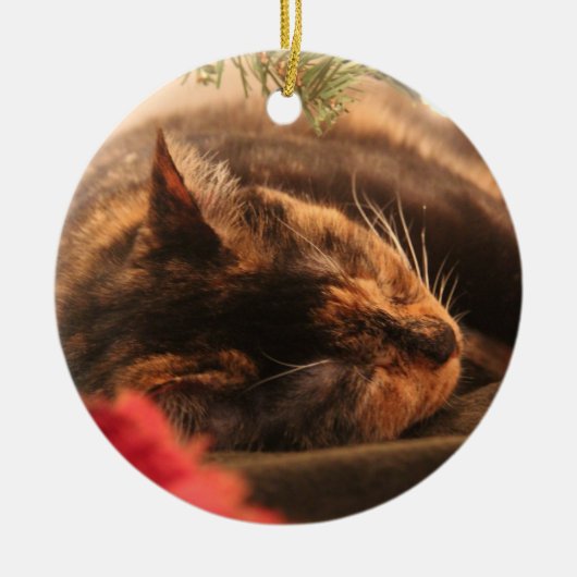Ornement de chat de calicot de Noël (Devant)
