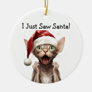 Ornement de chat de Noël