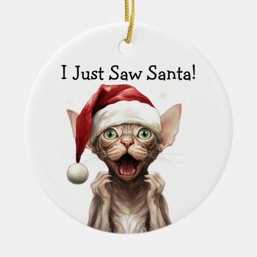 Ornement de chat de Noël (Devant)