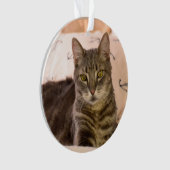 ornement de chat de tabby gris (devant)