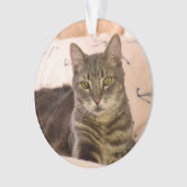 ornement de chat de tabby gris (devant)