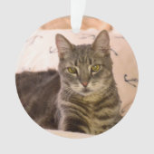 ornement de chat de tabby gris (devant)