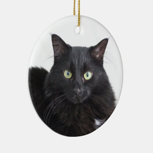 Ornement de chat noir (Droite)