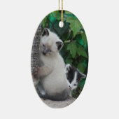 Ornement de chatons (Droite)