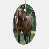 Ornement de cheval de pur sang de baie (Droite)