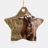 Ornement de chèvre (Devant)