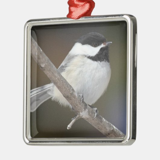 Ornement de Chickadee (Gauche)