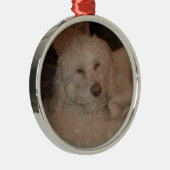 Ornement de chien (Droite)