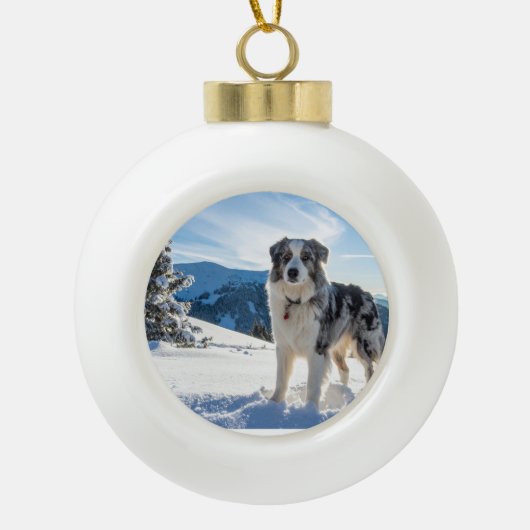 Ornement de chien dans la neige (Devant)
