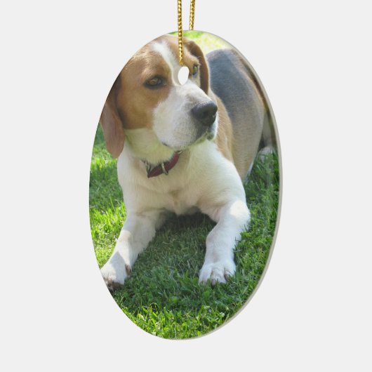 Ornement de chien de beagle (Gauche)