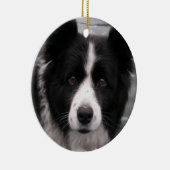 Ornement de chien de border collie (Droite)