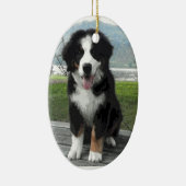 Ornement de chien de montagne de Bernese (Droite)