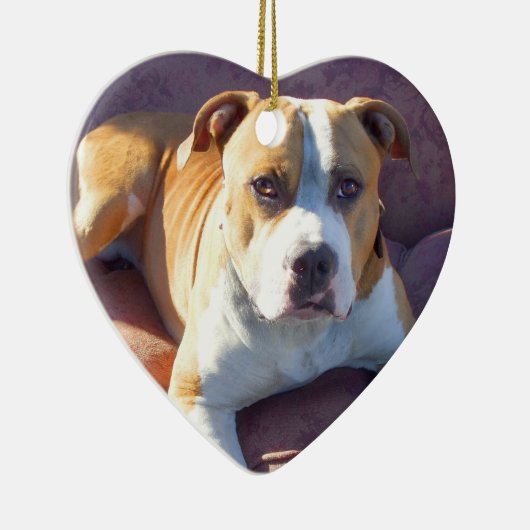 Ornement de chien de Pitbull (Droite)