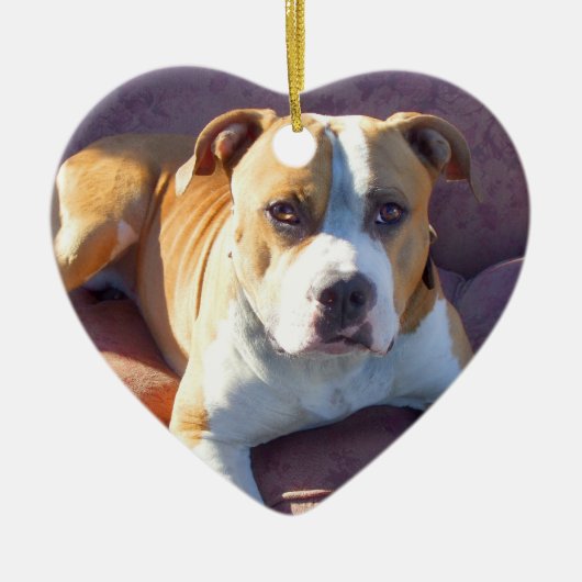 Ornement de chien de Pitbull (Devant)