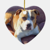 Ornement de chien de Pitbull (Dos)