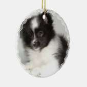 Ornement de chien de Pomeranian de jouet (Droite)
