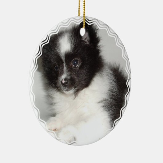 Ornement de chien de Pomeranian de jouet (Droite)