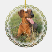 Ornement de chien de Rhodesian Ridgeback (Dos)