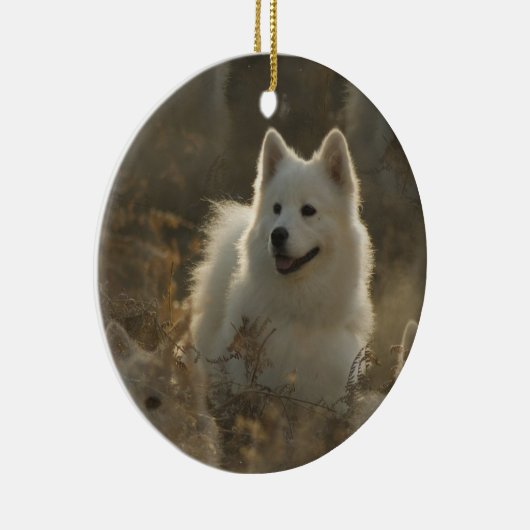 Ornement de chien de Samoyed (Droite)