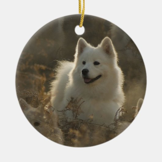 Ornement de chien de Samoyed (Devant)