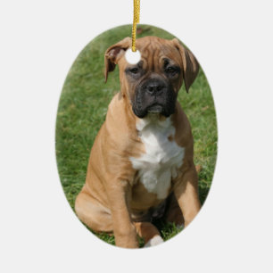 Ornement de chiot de boxeur