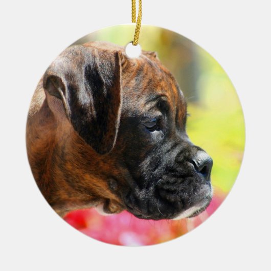 Ornement de chiot de boxeur (Devant)