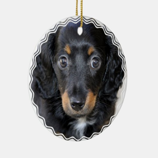 Ornement de chiot de Daschund (Droite)