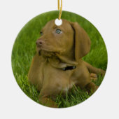 Ornement de chiot de Vizsla (Devant)