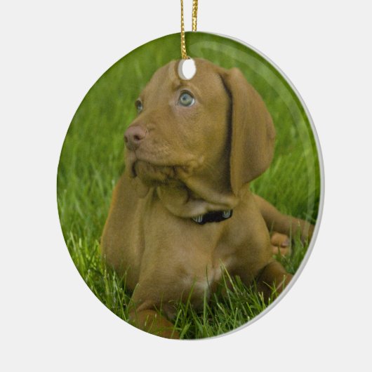 Ornement de chiot de Vizsla (Gauche)