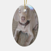 Ornement de chiot de Weimaraner (Gauche)