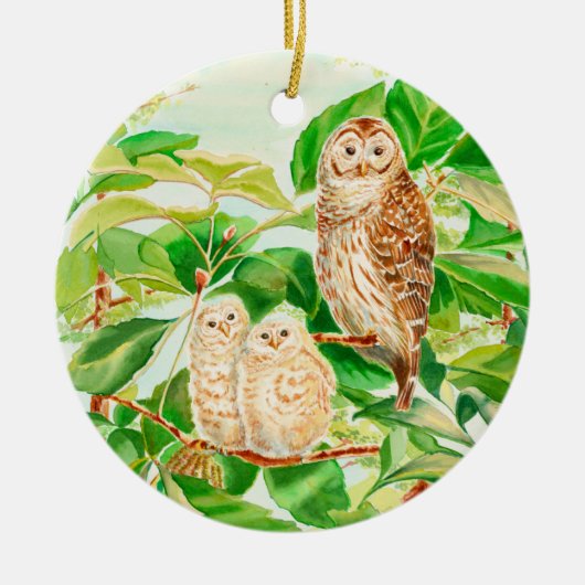Ornement de chouette de bébé (Devant)