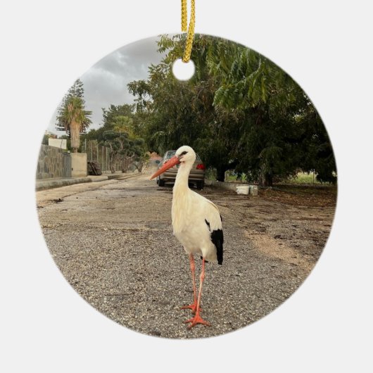 Ornement de cigogne marchant (Devant)